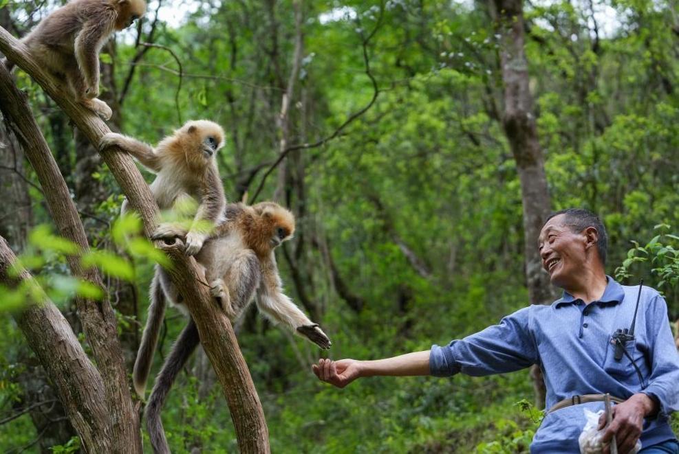 首次立法！國家公園筑起“法治屏障”